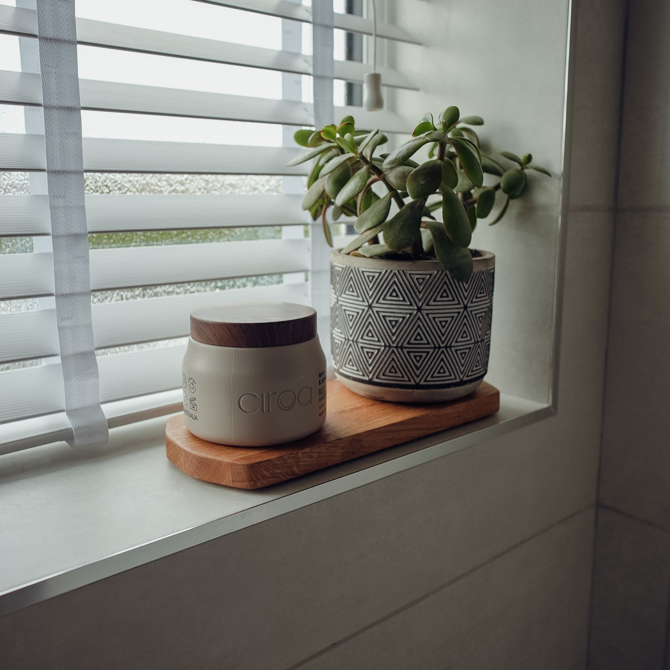 Potted plant and jar on a windowsill with blinds partially open. The focus is an oblong oiled oak display stand which shows the natural grain.